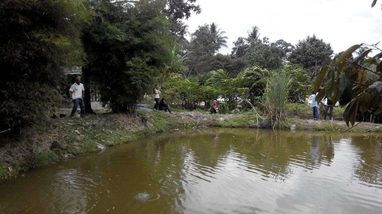 Villa Lopoh Waterfront Budget Chalets Hulu Langat Exterior foto